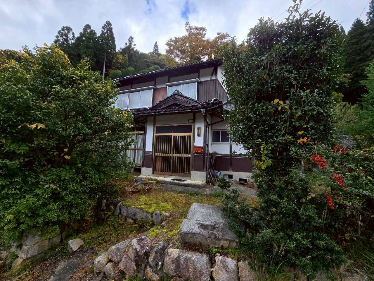 Before image
